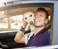 How to Restore Your Lost Driver's License in Michigan
